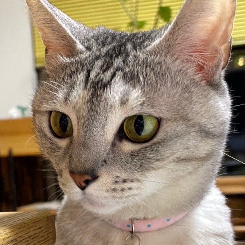 erika