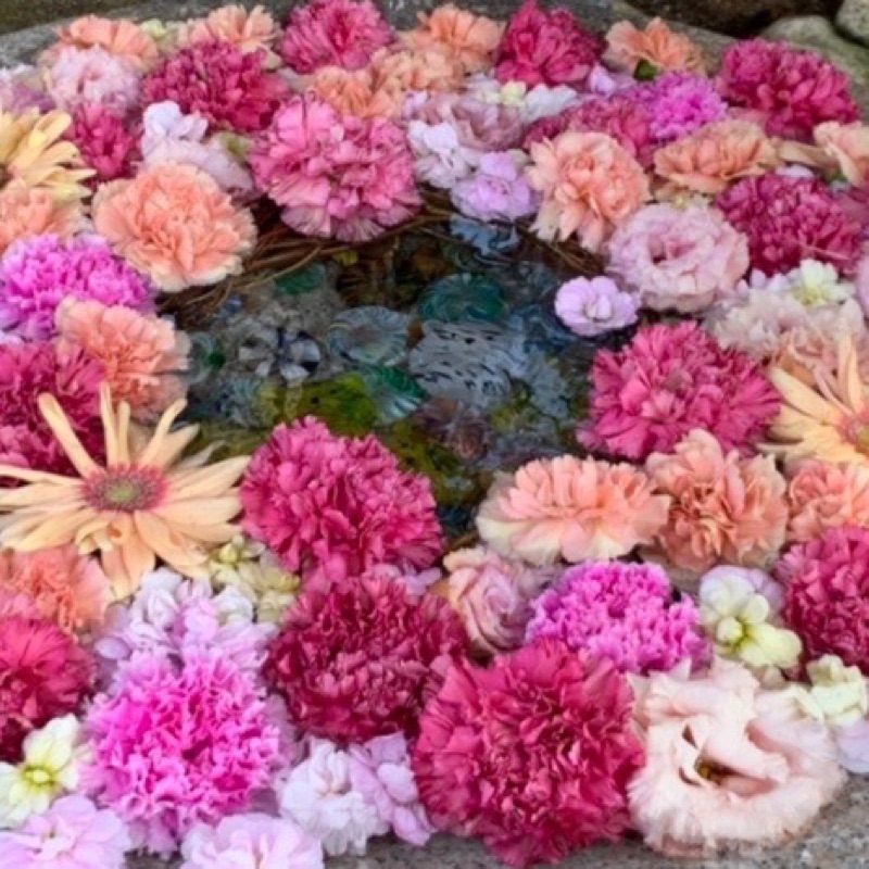 平清水　恵理子