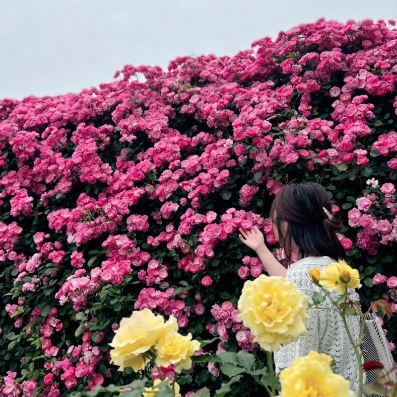 久間友里花