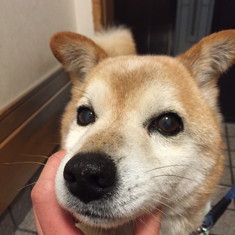 福田