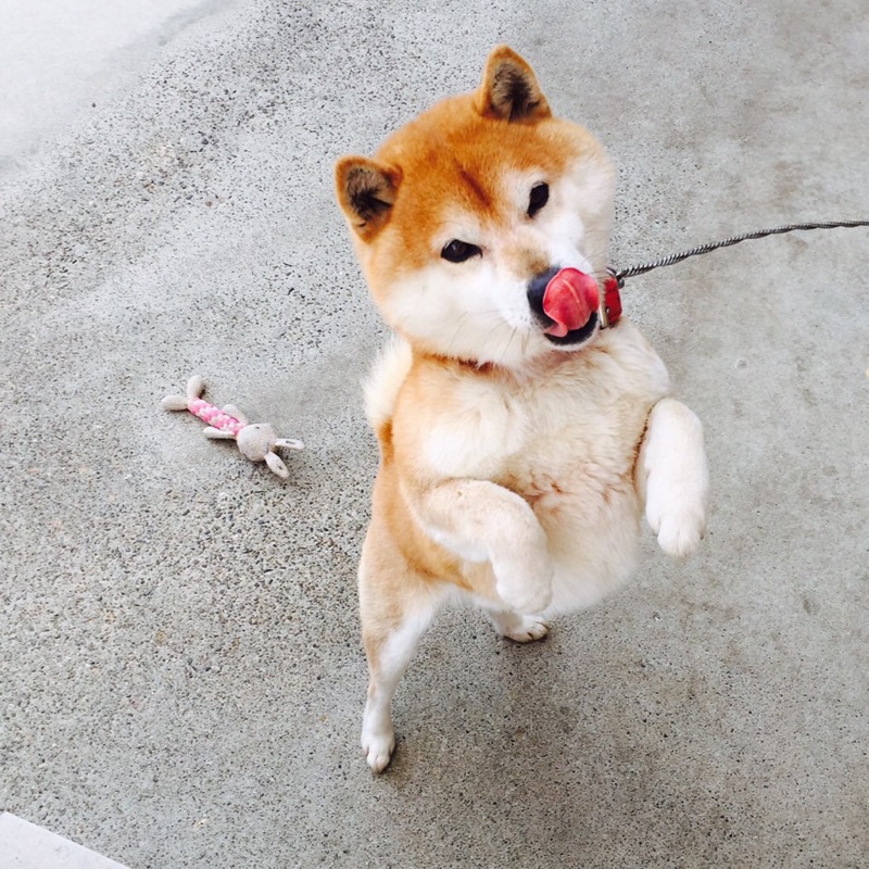 後藤　匡志