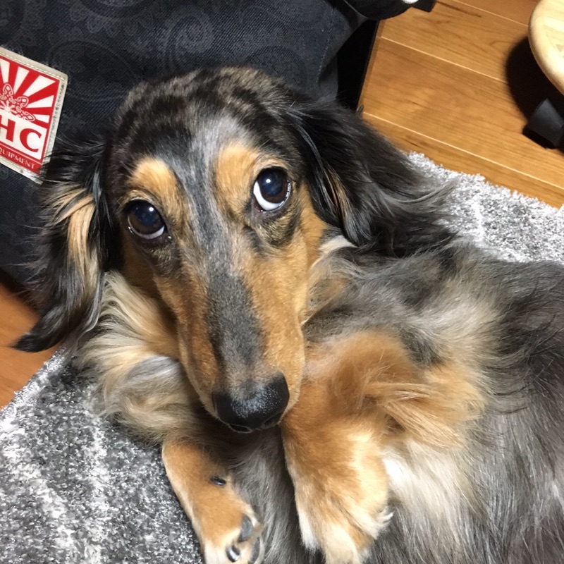 矢来拓也