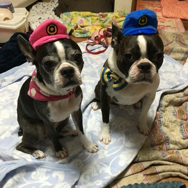 スパコ