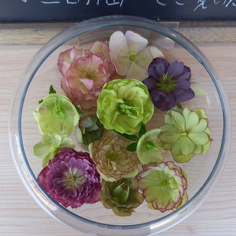 山口友子
