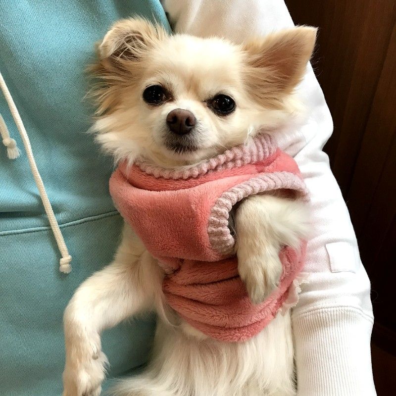 木村久子