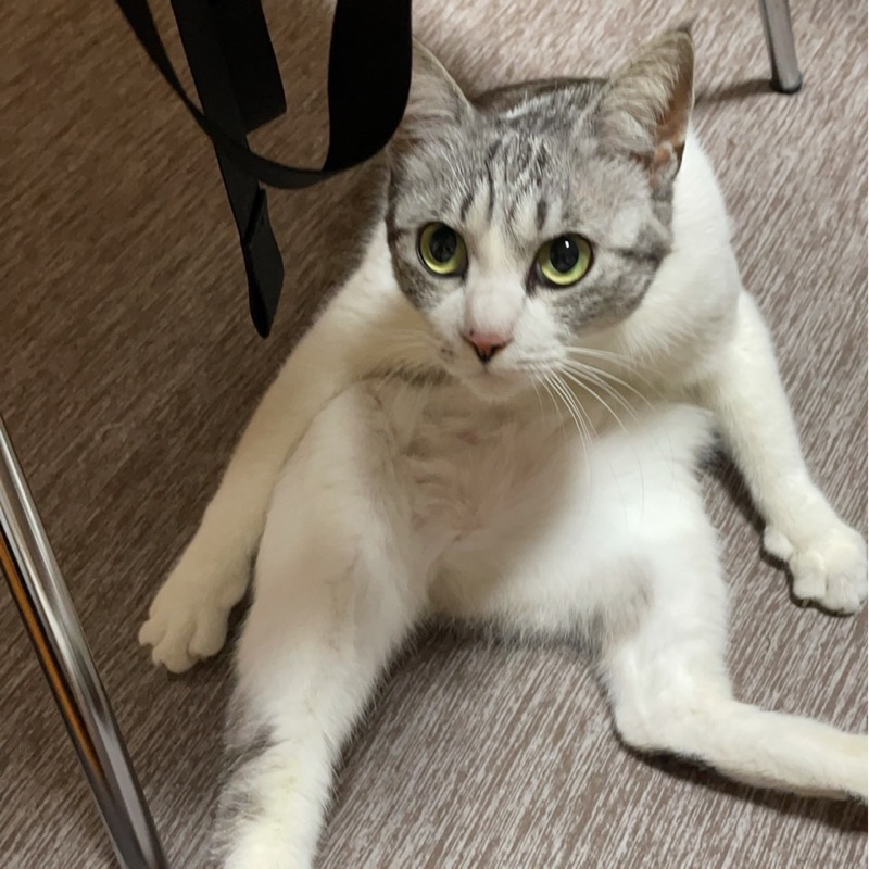 川田　理貴　