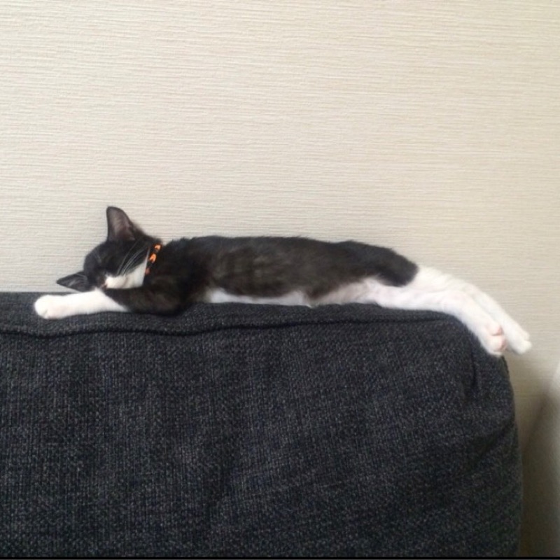 栗田　麻衣子