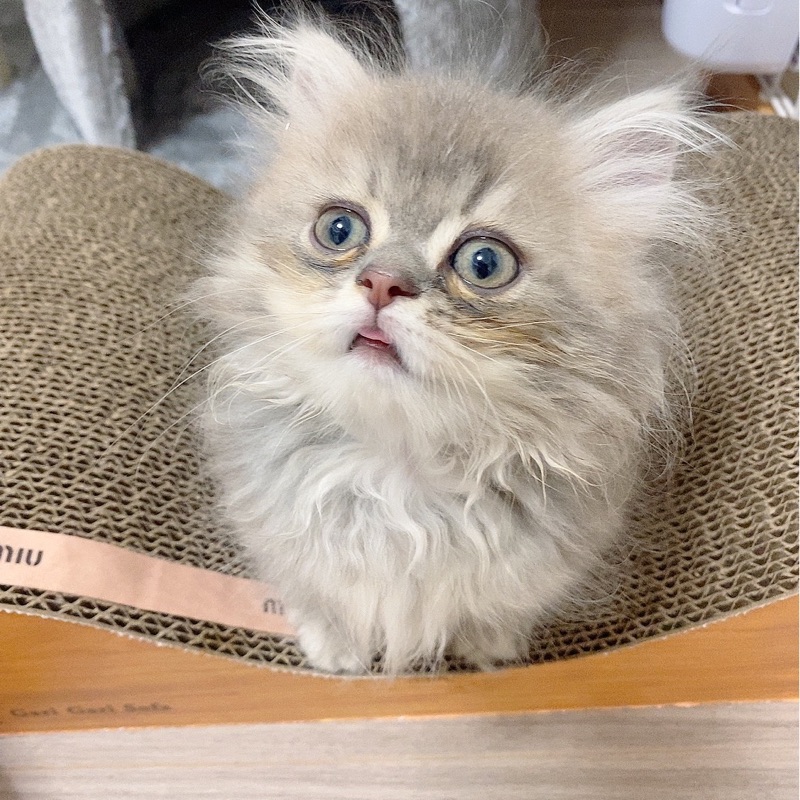 あ