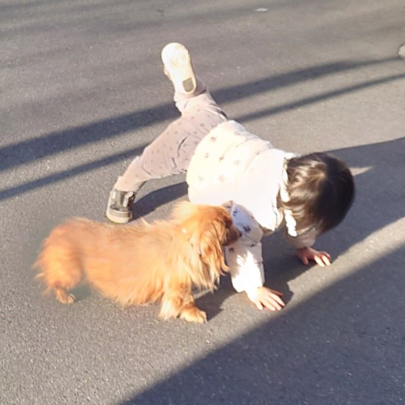 かほり