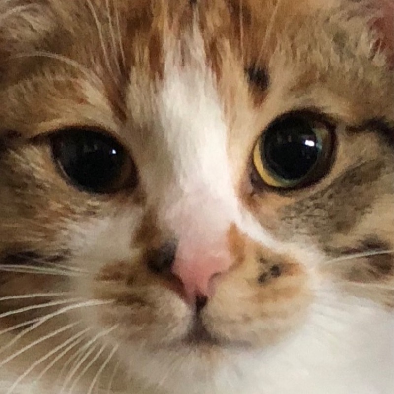久保　直人