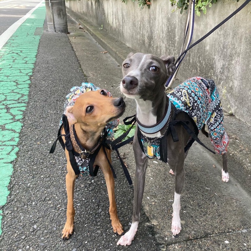 田中