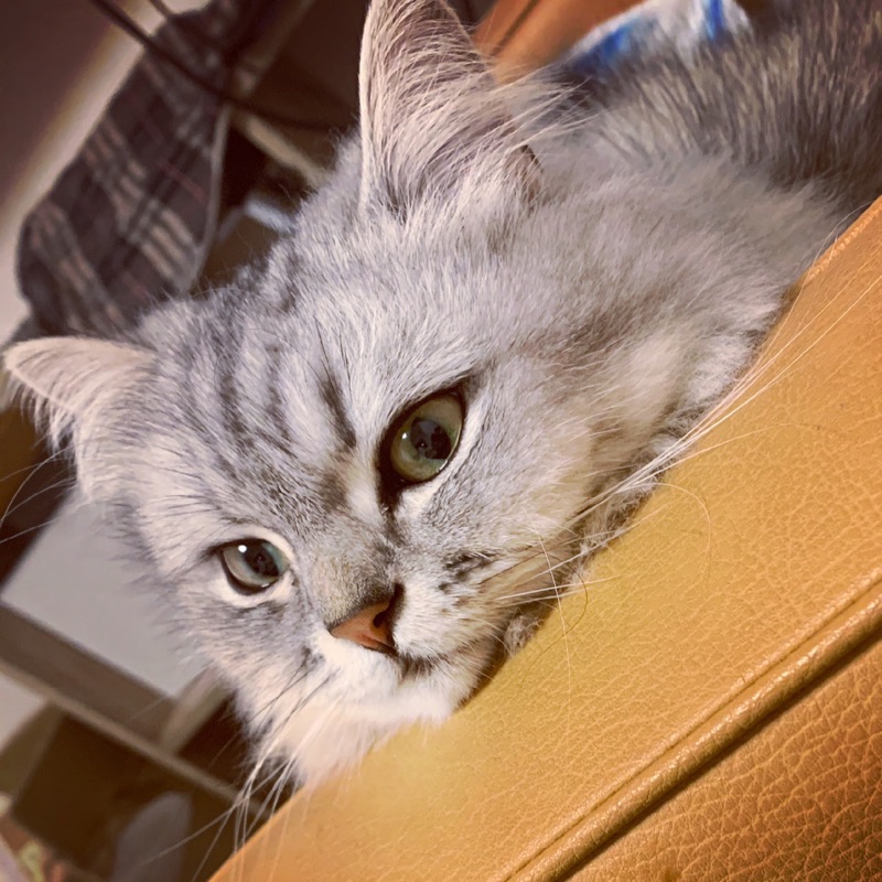 田中