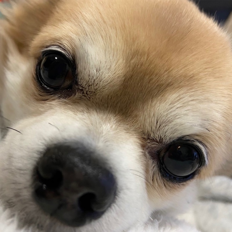 颯人