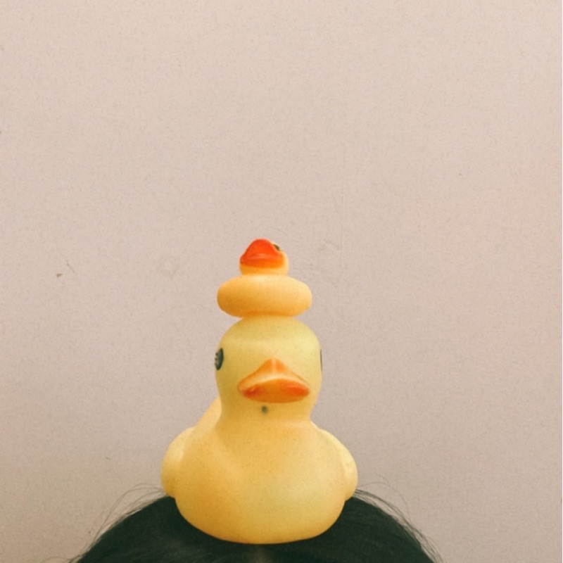 丹野 珠志