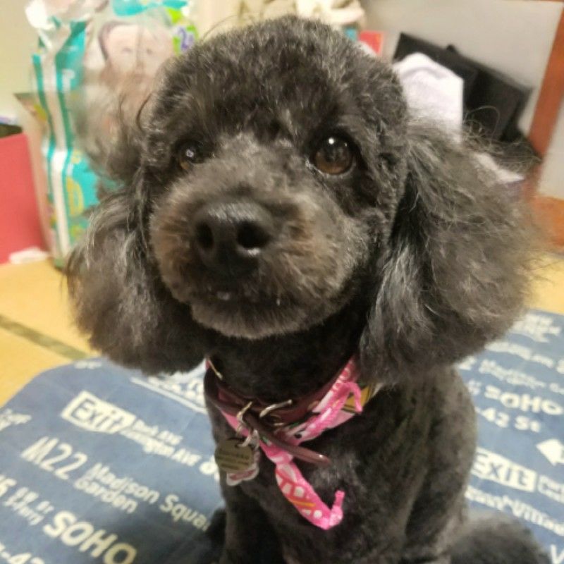 清水めぐ美