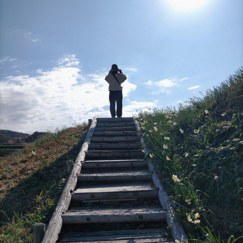 小田　知里