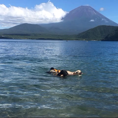 松倉　順子