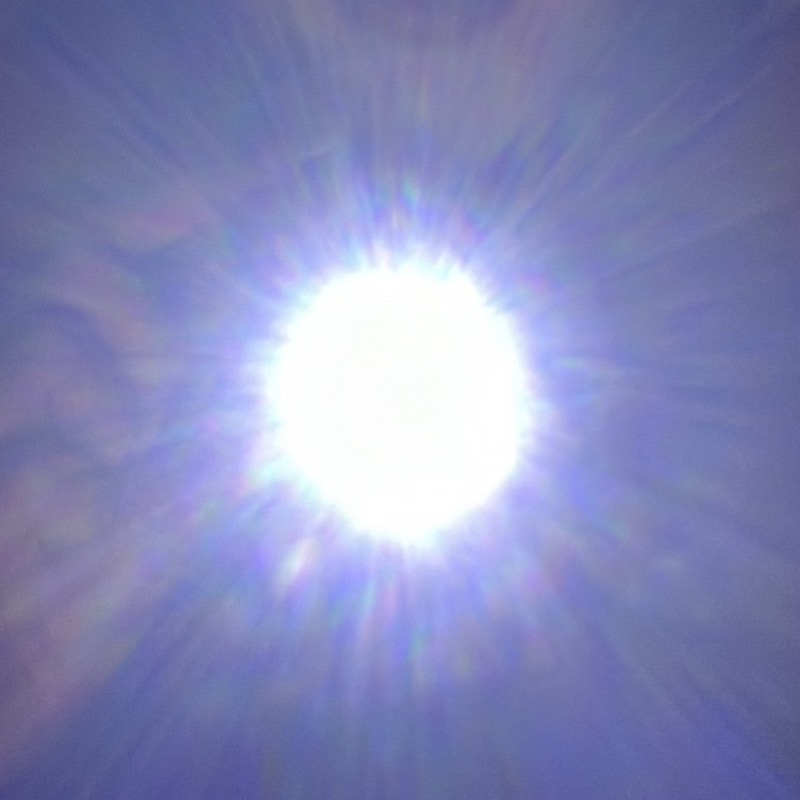 ありんちょす