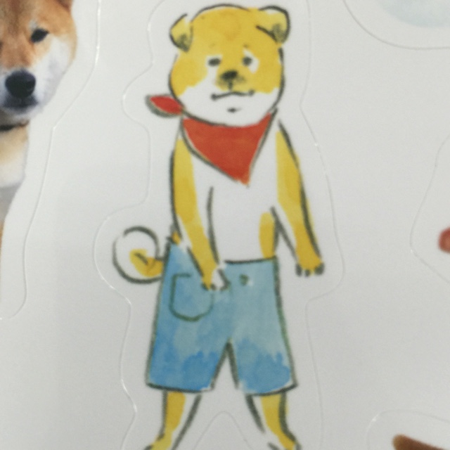 浅野真理子