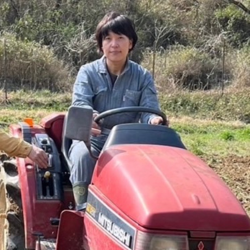 石崎美地