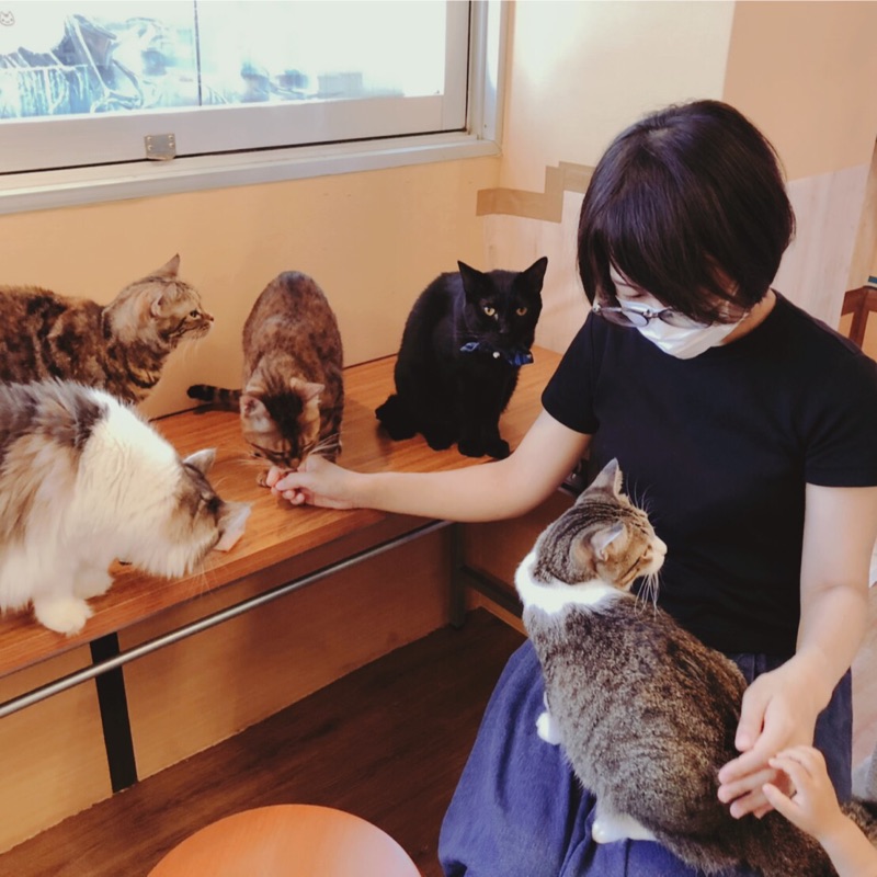 岩本美紀