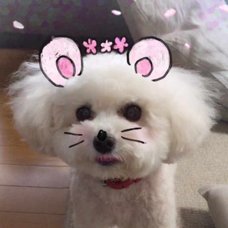 荒川　悦子