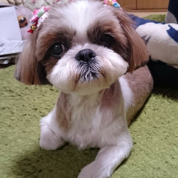 石川薫