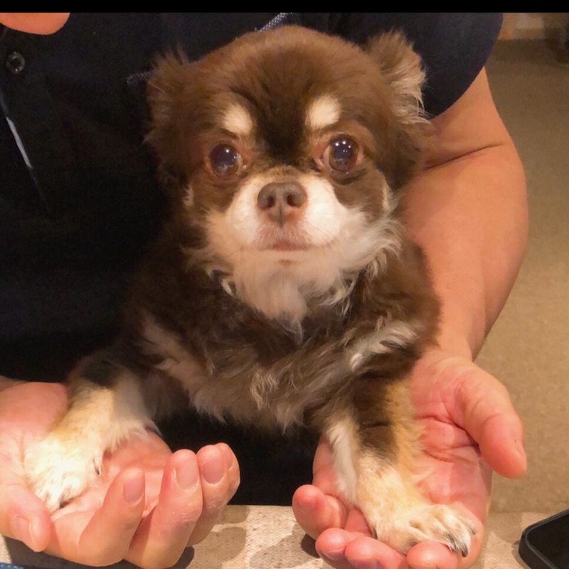 のり