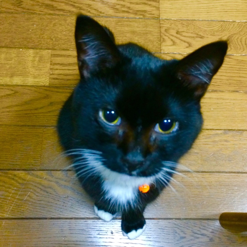 すずりりん