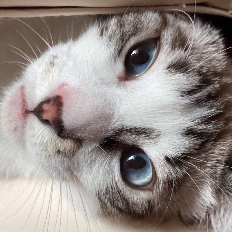 ひろ
