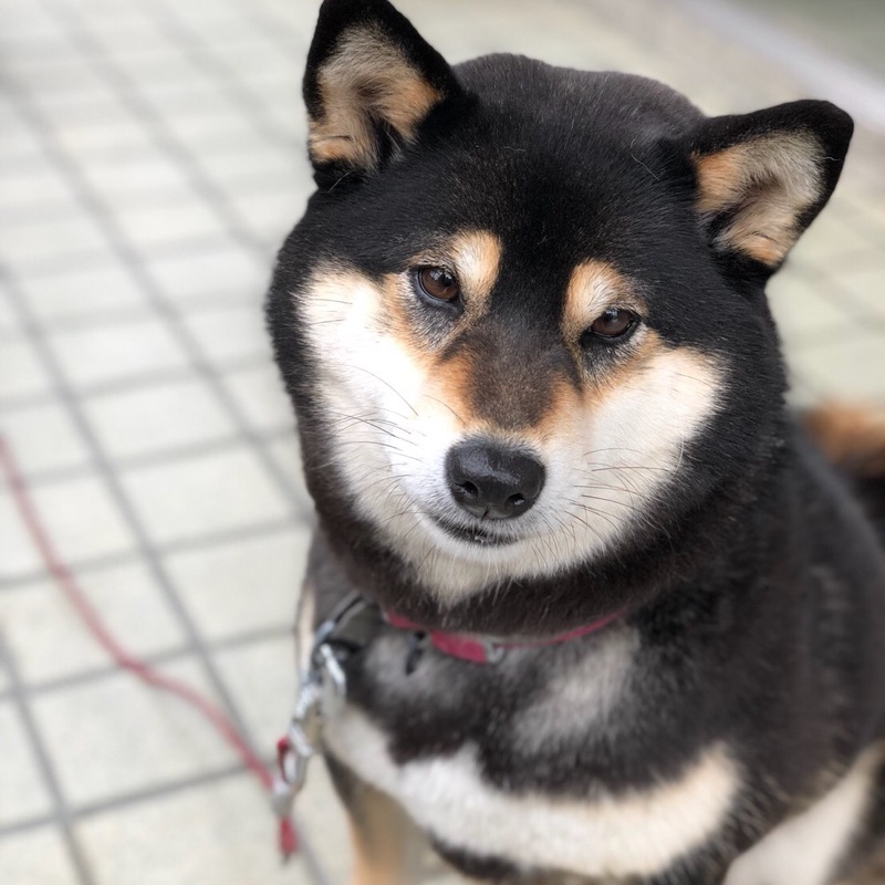 井上かおり