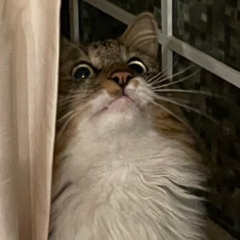 みり