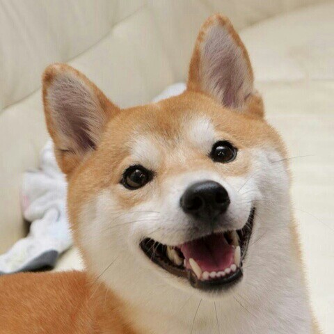 二宮　淑子
