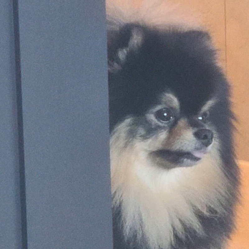 久保亨弥
