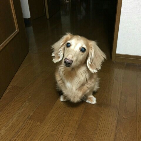 ユン
