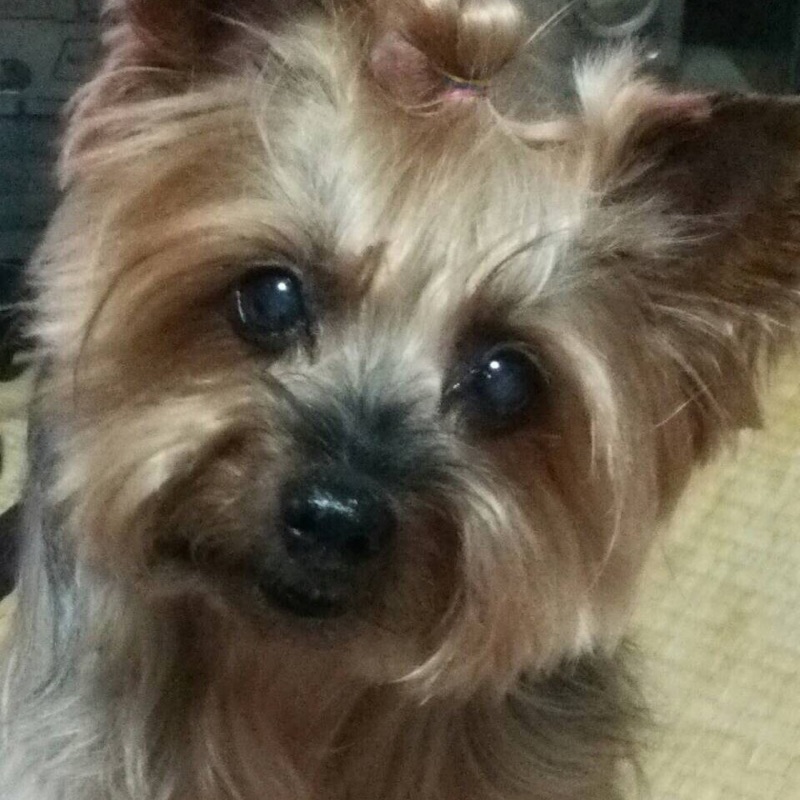 宮下　良子