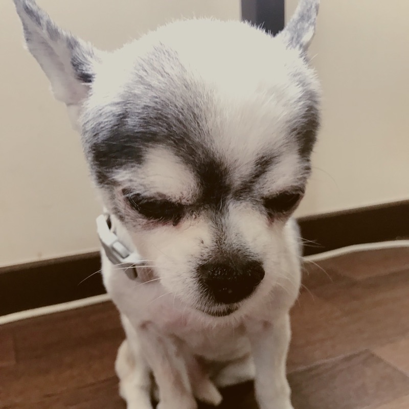 さく