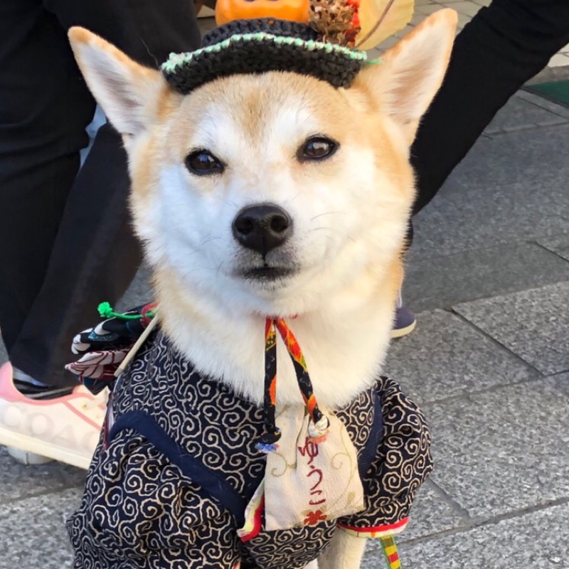 のん