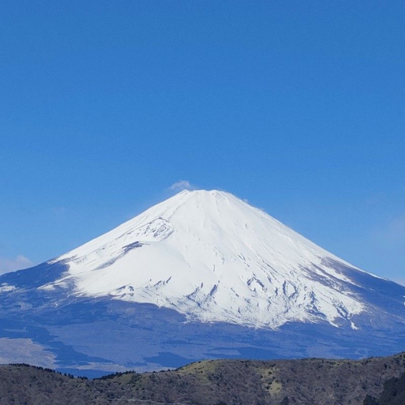 知子