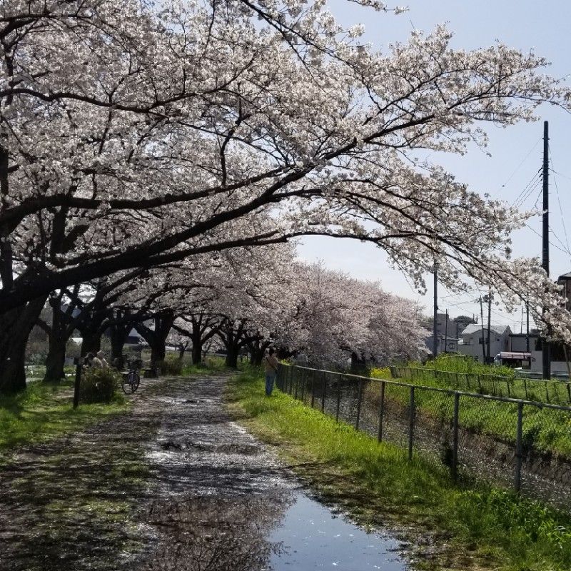 岩崎まちこ