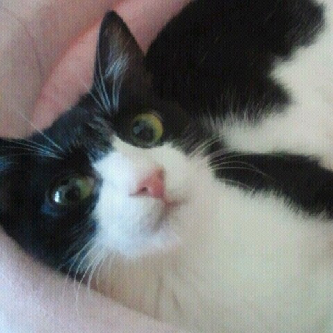 なおこ