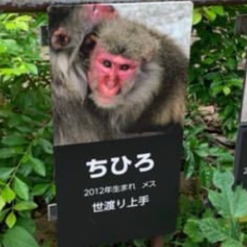 ちー