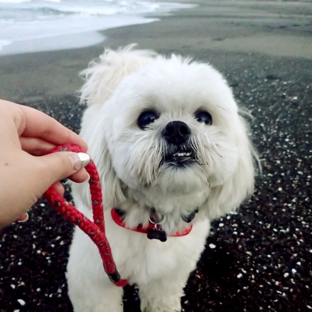Mizue