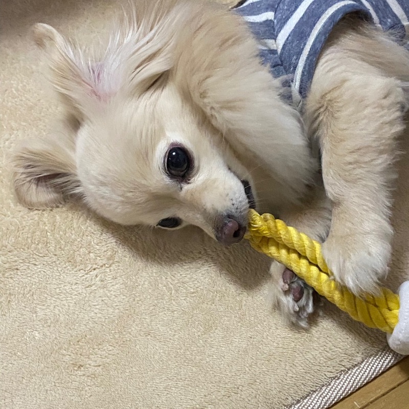 オオツカ