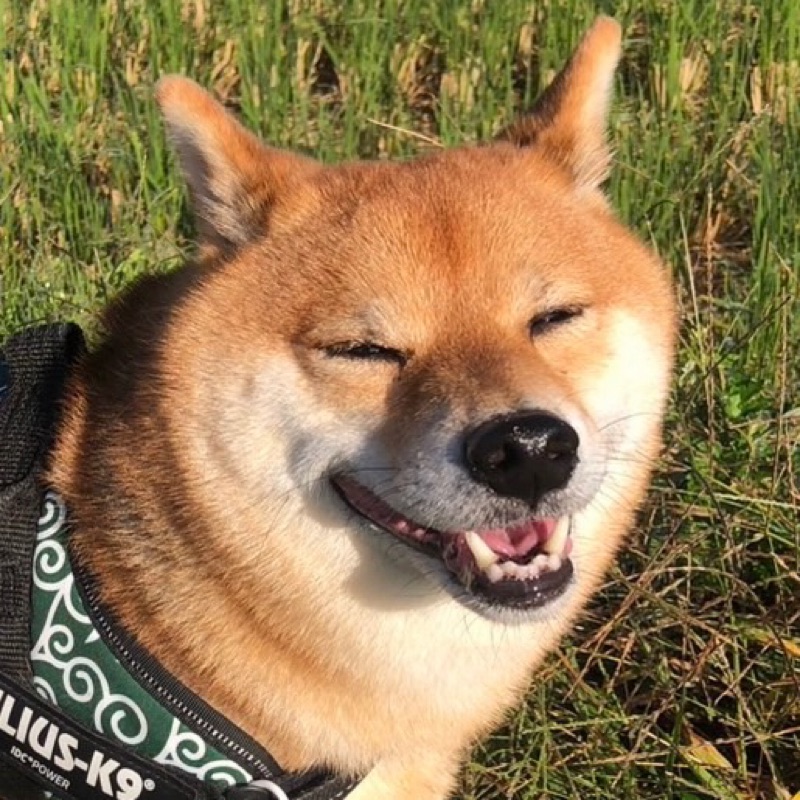 まゆ