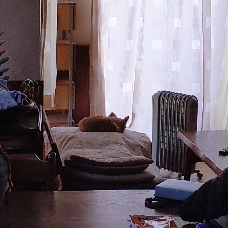 奥野誠也