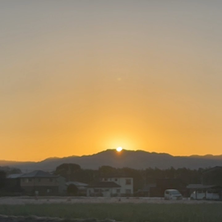 Y.TAISEI