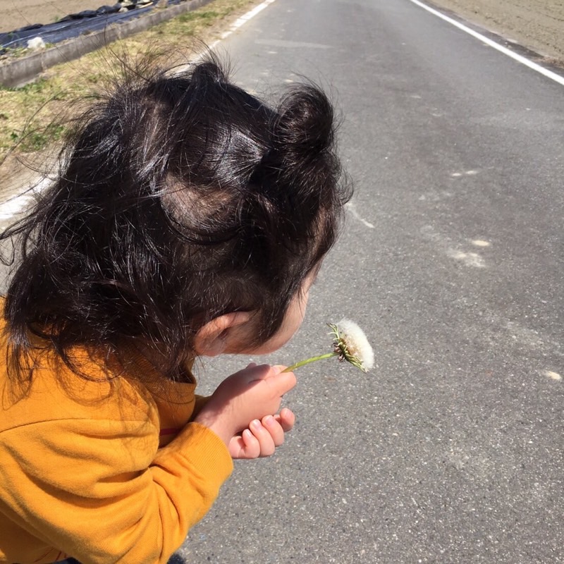 あいる