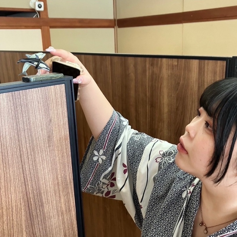 白の長毛猫