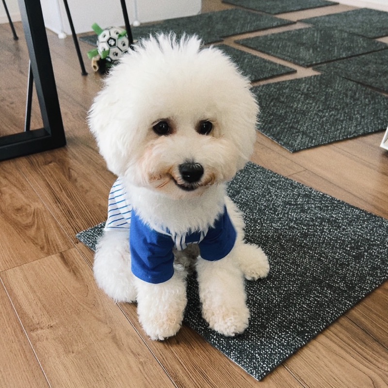 ふくやまはさまる